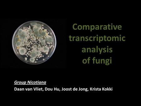 Comparative transcriptomic analysis of fungi Group Nicotiana Daan van Vliet, Dou Hu, Joost de Jong, Krista Kokki.