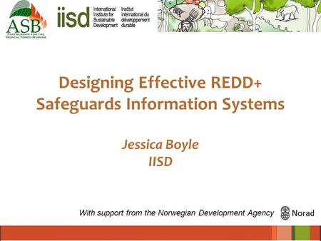 Designing Effective REDD+ Safeguards Information Systems Jessica Boyle IISD With support from the Norwegian Development Agency.