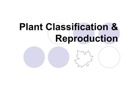 Plant Classification & Reproduction. Plants can be classified into 2 main groups: Non-seed plants  mosses = no vascular systems  ferns = vascular systems.