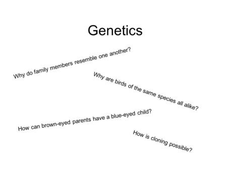 Genetics Why do family members resemble one another? Why are birds of the same species all alike? How can brown-eyed parents have a blue-eyed child? How.