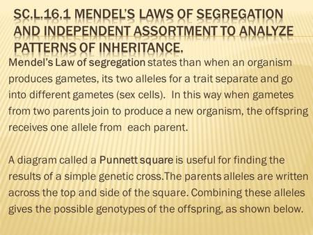 Mendel’s Law of segregation states than when an organism produces gametes, its two alleles for a trait separate and go into different gametes (sex cells).