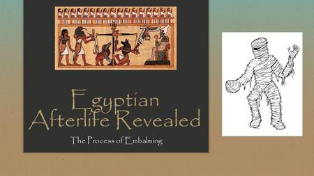 Egyptian Afterlife Revealed The Process of Embalming.