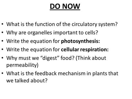 DO NOW What is the function of the circulatory system? Why are organelles important to cells? Write the equation for photosynthesis: Write the equation.