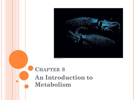 C HAPTER 8 An Introduction to Metabolism. W HAT Y OU N EED T O K NOW : Examples of endergonic and exergonic reactions. The key role of ATP in energy coupling.