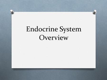 Endocrine System Overview