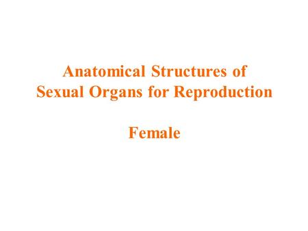 Anatomical Structures of Sexual Organs for Reproduction Female.