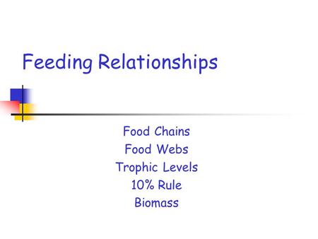 Feeding Relationships