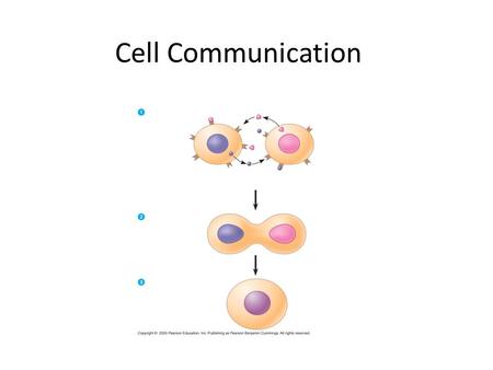 Cell Communication.