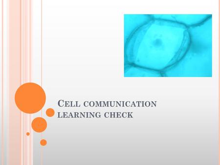 C ELL COMMUNICATION LEARNING CHECK. D OES CELL SIGNALING OCCUR IN BACTERIA AND PROTISTS ? No, only in multicellular organisms.