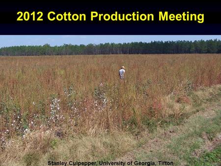 2012 Cotton Production Meeting Stanley Culpepper, University of Georgia, Tifton.