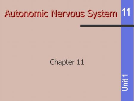 11 Unit 1 Chapter 11. 11 Unit 1 Somatic systems- conscious awareness Autonomic sensory - not consciously perceived Monitors internal conditions- blood.