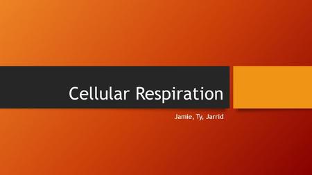 Cellular Respiration Jamie, Ty, Jarrid. What is the Process of Cellular Respiration? Cellular Respiration helps in the exchange of gases and provide oxygen.