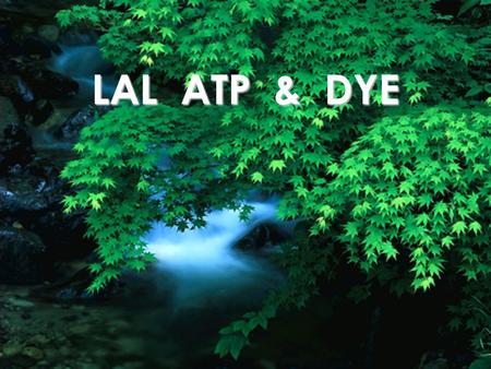 LAL ATP & DYE Limulus amoebocyte lysate (LAL) Gram negative bacteria are characterized by their production of endotoxins, which consist of lipopolysaccharide.