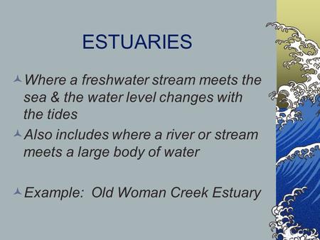 ESTUARIES Where a freshwater stream meets the sea & the water level changes with the tides Also includes where a river or stream meets a large body of.