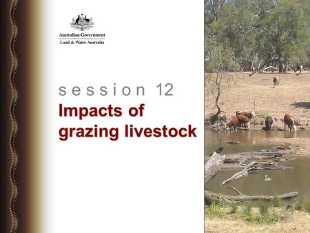 Impacts of grazing livestock s e s s i o n 12 Impacts of grazing livestock.