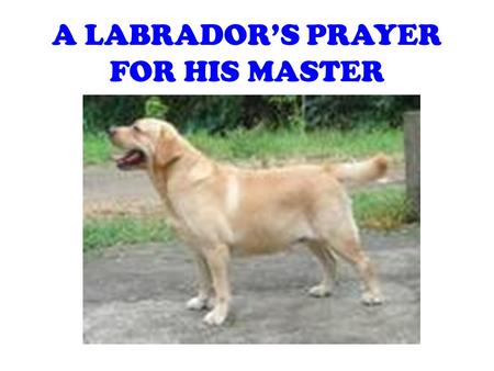 A LABRADOR’S PRAYER FOR HIS MASTER. O, Lord God Make my master faithful to his fellow men as I am to him. Grant that he may be devoted to his friends.