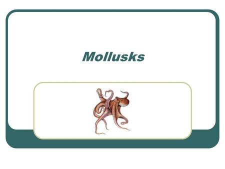 Mollusks. Characteristics of Mollusks Mollusks are invertebrates Mollusks have soft bodies Mollusks have bilateral symmetry Mollusks have a digestive.