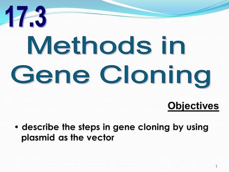 1 Objectives describe the steps in gene cloning by using plasmid as the vector.