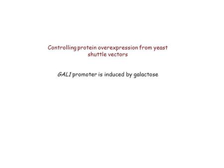 Controlling protein overexpression from yeast shuttle vectors GAL1 promoter is induced by galactose.