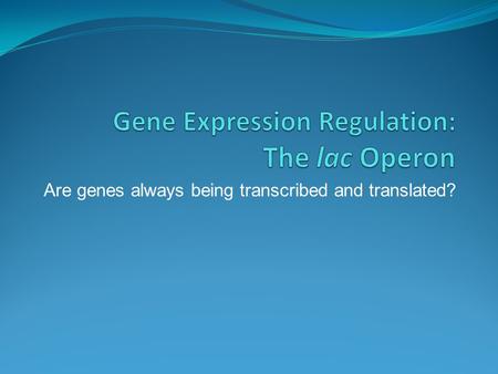 Are genes always being transcribed and translated?