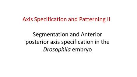 Axis Specification and Patterning II Segmentation and Anterior posterior axis specification in the Drosophila embryo.