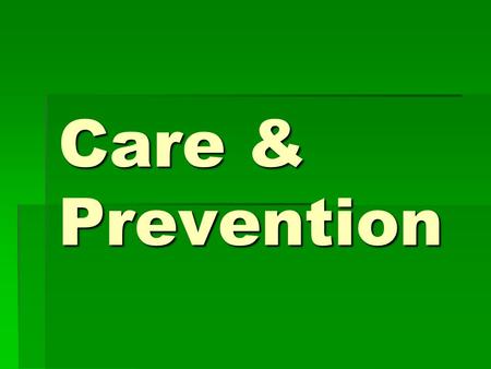 Care & Prevention. Objectives  List 3 professional organizations that contribute to the sports medicine profession  Describe the duties of an athletic.