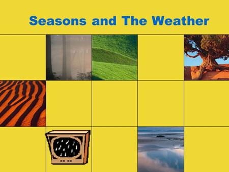 Seasons and The Weather. winter summer wear I know!!! I don’t know!!! snow It’s snowing sunny It’s sunny A hat, a scarf, & mittens.