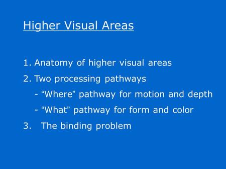 Higher Visual Areas 1.Anatomy of higher visual areas 2.Two processing pathways - “ Where ” pathway for motion and depth - “ What ” pathway for form and.