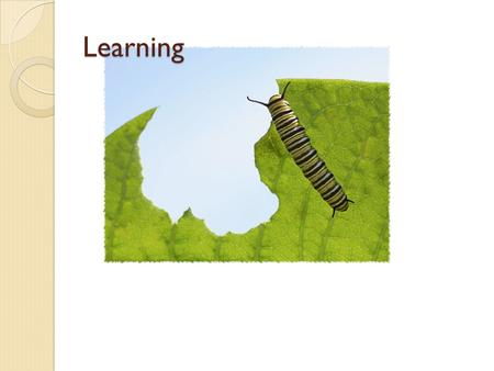 Learning. Our next chapter is on learning... As high school seniors, if you could write to your past self as a freshman entering high school, what advice.