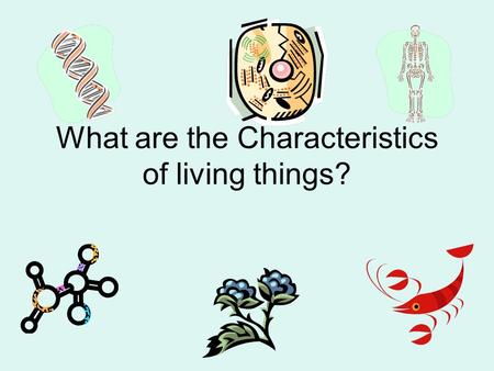 What are the Characteristics of living things?. Biology is the study of life. Biotic— something alive Abiotic—something not alive.