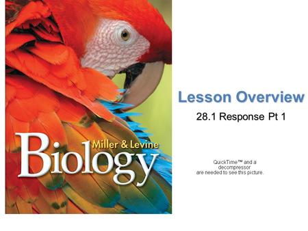 Lesson Overview Lesson OverviewResponse Lesson Overview 28.1 Response Pt 1.