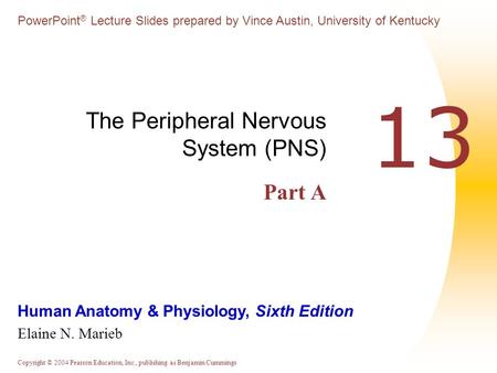 Copyright © 2004 Pearson Education, Inc., publishing as Benjamin Cummings Human Anatomy & Physiology, Sixth Edition Elaine N. Marieb PowerPoint ® Lecture.