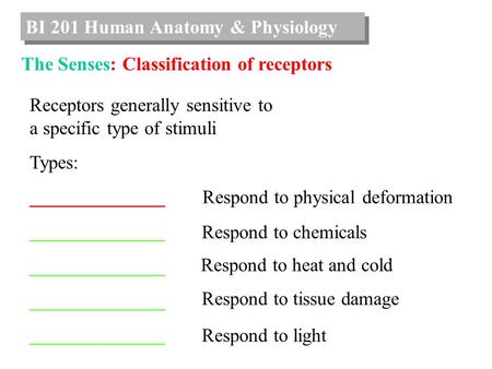 BI 201 Human Anatomy & Physiology