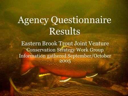 Agency Questionnaire Results Eastern Brook Trout Joint Venture Conservation Strategy Work Group Information gathered September/October 2005.