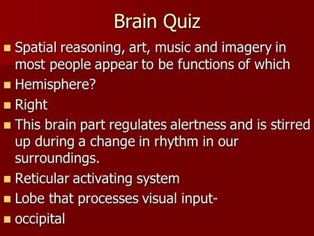 Brain Quiz Spatial reasoning, art, music and imagery in most people appear to be functions of which Spatial reasoning, art, music and imagery in most people.