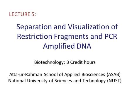 Separation and Visualization of Restriction Fragments and PCR Amplified DNA LECTURE 5: Biotechnology; 3 Credit hours Atta-ur-Rahman School of Applied Biosciences.