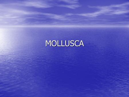 MOLLUSCA. Characteristics Class Gastropoda – snails, slugs Class Gastropoda – snails, slugs Class Cephalopoda – octopus, squid, nautilus Class Cephalopoda.