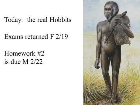 Today: the real Hobbits Exams returned F 2/19 Homework #2 is due M 2/22.