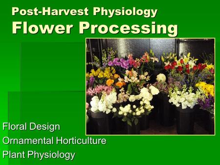 Post-Harvest Physiology Flower Processing