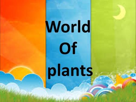 World Of plants. Essential questions: why plants are important?