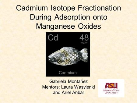 Cadmium Isotope Fractionation During Adsorption onto Manganese Oxides Gabriela Montañez Mentors: Laura Wasylenki and Ariel Anbar.