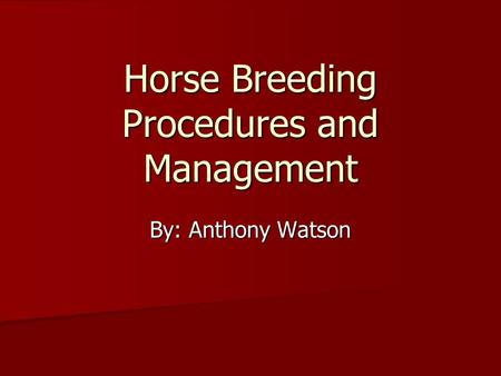 Horse Breeding Procedures and Management By: Anthony Watson.