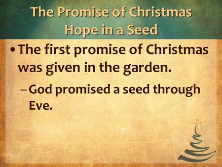 The Promise of Christmas Hope in a Seed The first promise of Christmas was given in the garden. –God promised a seed through Eve.