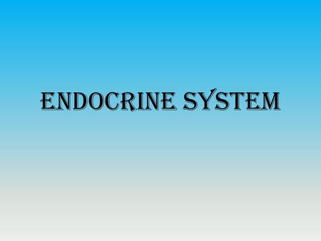 Endocrine System.