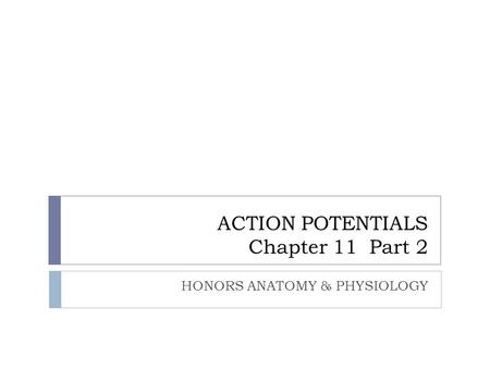 ACTION POTENTIALS Chapter 11 Part 2 HONORS ANATOMY & PHYSIOLOGY.