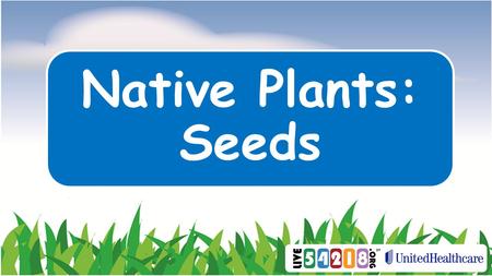 Native Plants: Seeds.