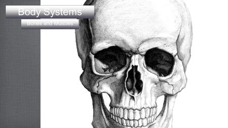 Body Systems Bones and Muscles. Skeletal Systems 4 functions Key role in movement Provides a strong, stable, and mobile framework on which muscles can.