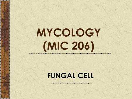 MYCOLOGY (MIC 206) FUNGAL CELL.