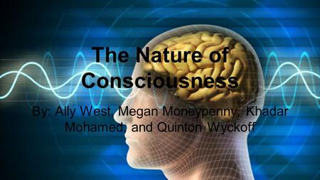 The Nature of Consciousness