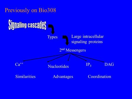 Previously on Bio308 Types Similarities 2 nd Messengers IP 3 DAGCa ++ AdvantagesCoordination Nucleotides Large intracellular signaling proteins.